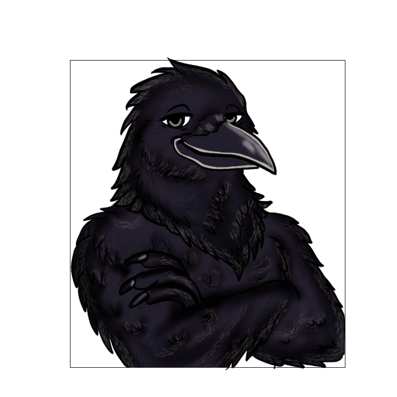 Crow 06